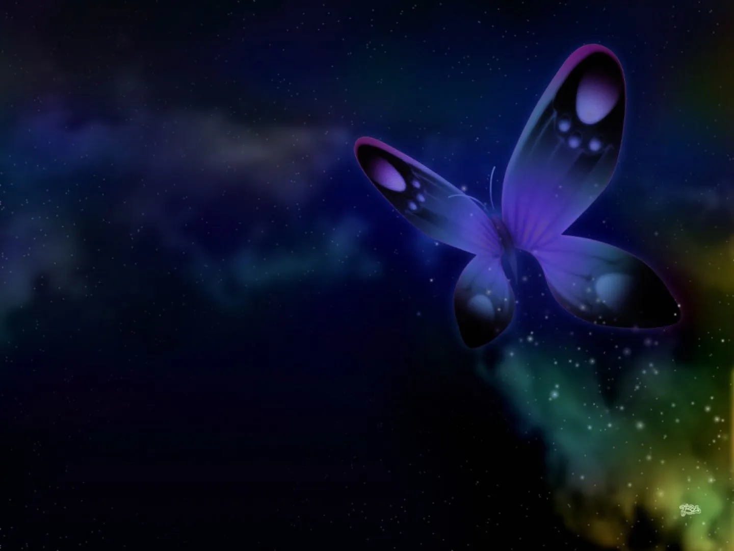 Fondos de Mariposas | FONDOS DE PANTALLA Wallpapers 