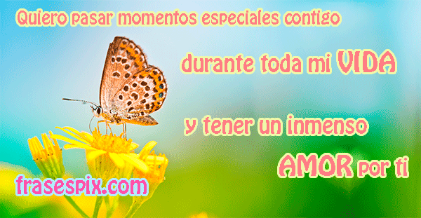 Fondos de mariposas con frases de amor | Imágenes Frases Pix