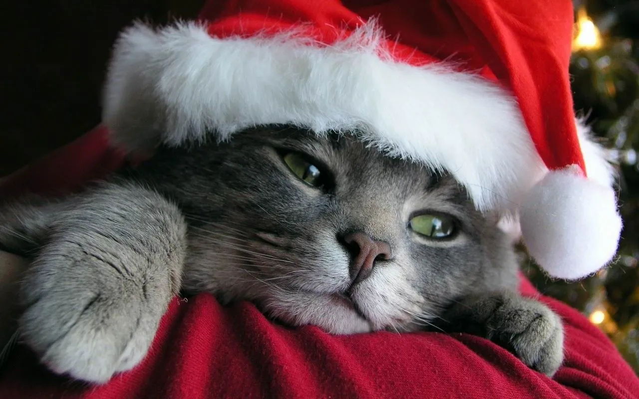 Fondos de Navidad,Wallpaper, fondos de pantalla navideños