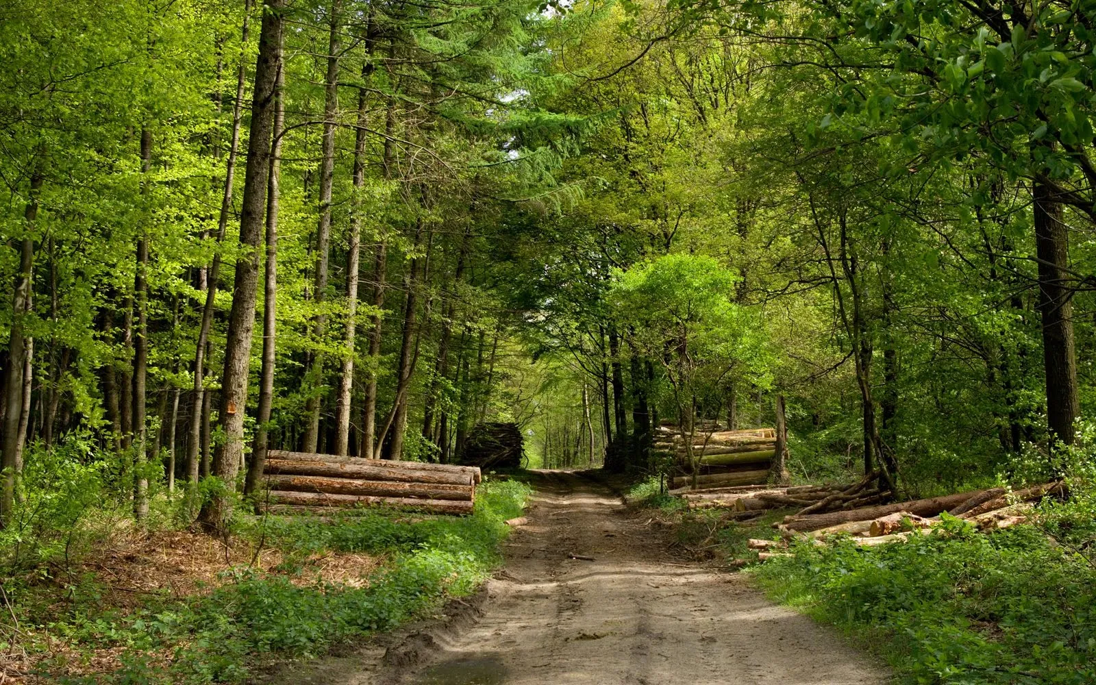amo a Shane Gray: Paisajes para fotomontajes amo a Shane Gray: Paisajes para fotomontajes