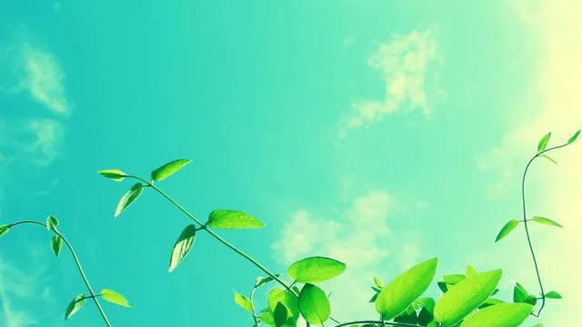 Fondos de pantalla: 10 wallpapers de naturaleza con estilo vintage Fondos de pantalla: 10 wallpapers de naturaleza con estilo vintage