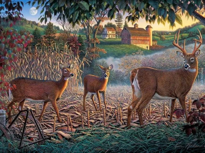 Fondos de pantalla: 100 Animales Salvajes » New Web Star Club Fondos de pantalla: 100 Animales Salvajes » New Web Star Club
