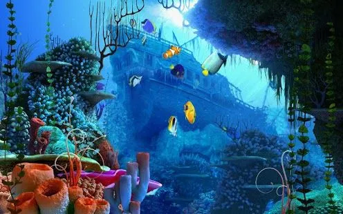 fondos de pantalla del acuario android - fondos de pantalla del ... fondos de pantalla del acuario android - fondos de pantalla del ...