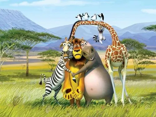 Imagenes Tiernas de Madagascar | Imagenes de Frases [