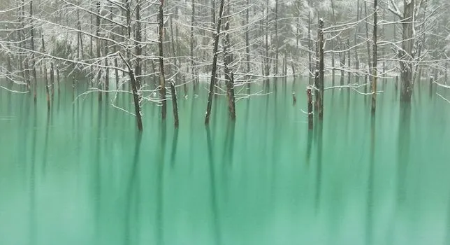Fondos de pantalla de Apple estanque azul existe en Japón - iOSxtreme