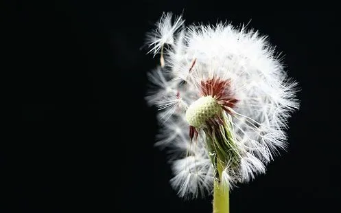 Otro fantásticos fondos de pantalla gratis | CosasSencillas.Com Otro fantásticos fondos de pantalla gratis | CosasSencillas.Com