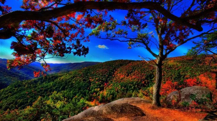 Fondos de pantalla bonitos para el otoño | Love Wallpapers | Pinterest