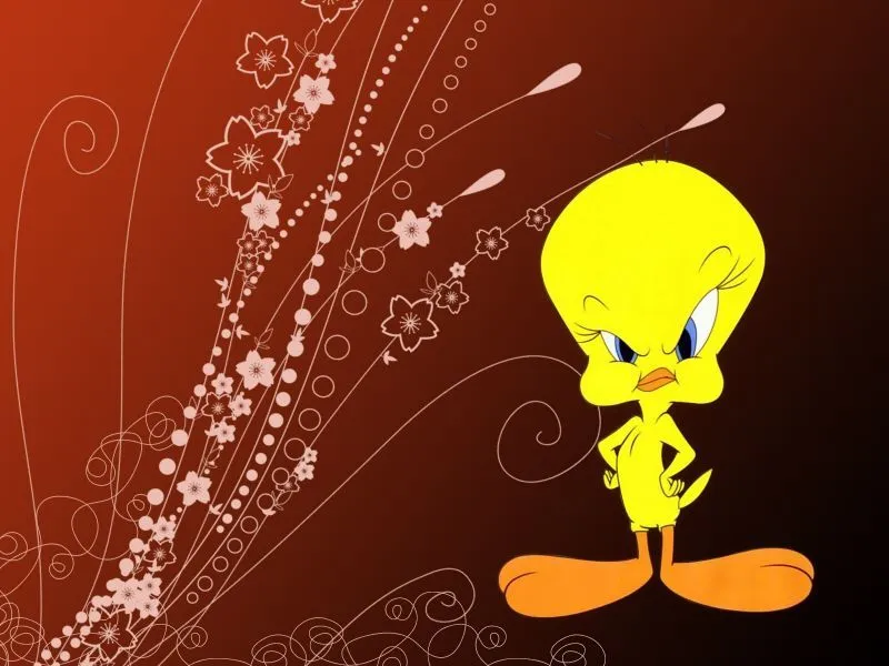 fondos de pantalla de Piolin. wallpapers de Piolin fondos de pantalla de Piolin. wallpapers de Piolin