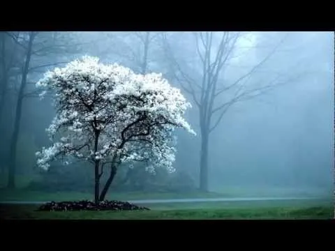 Fondos de Pantalla GRATIS de Paisajes - YouTube Fondos de Pantalla GRATIS de Paisajes - YouTube
