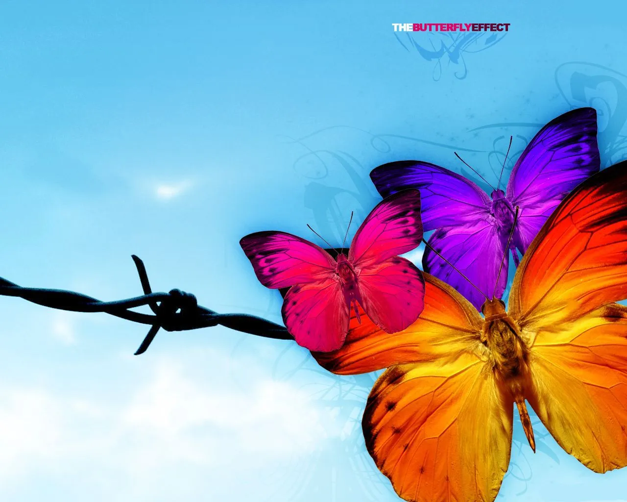 Fondos de pantalla HD de mariposas - Imagui Fondos de pantalla HD de mariposas - Imagui