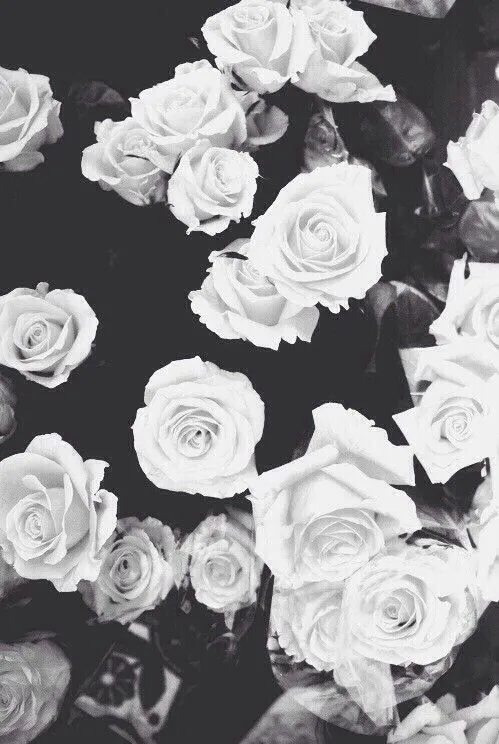 fondos para iphone 5 hipster - Buscar con Google | wallpaper ... fondos para iphone 5 hipster - Buscar con Google | wallpaper ...