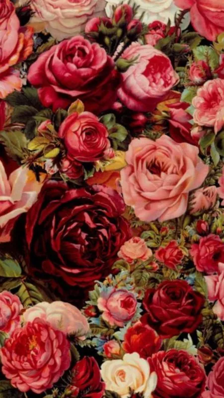 Fondos de pantalla para tu iPhone | Cosas monas | Pinterest | iPhone Fondos de pantalla para tu iPhone | Cosas monas | Pinterest | iPhone