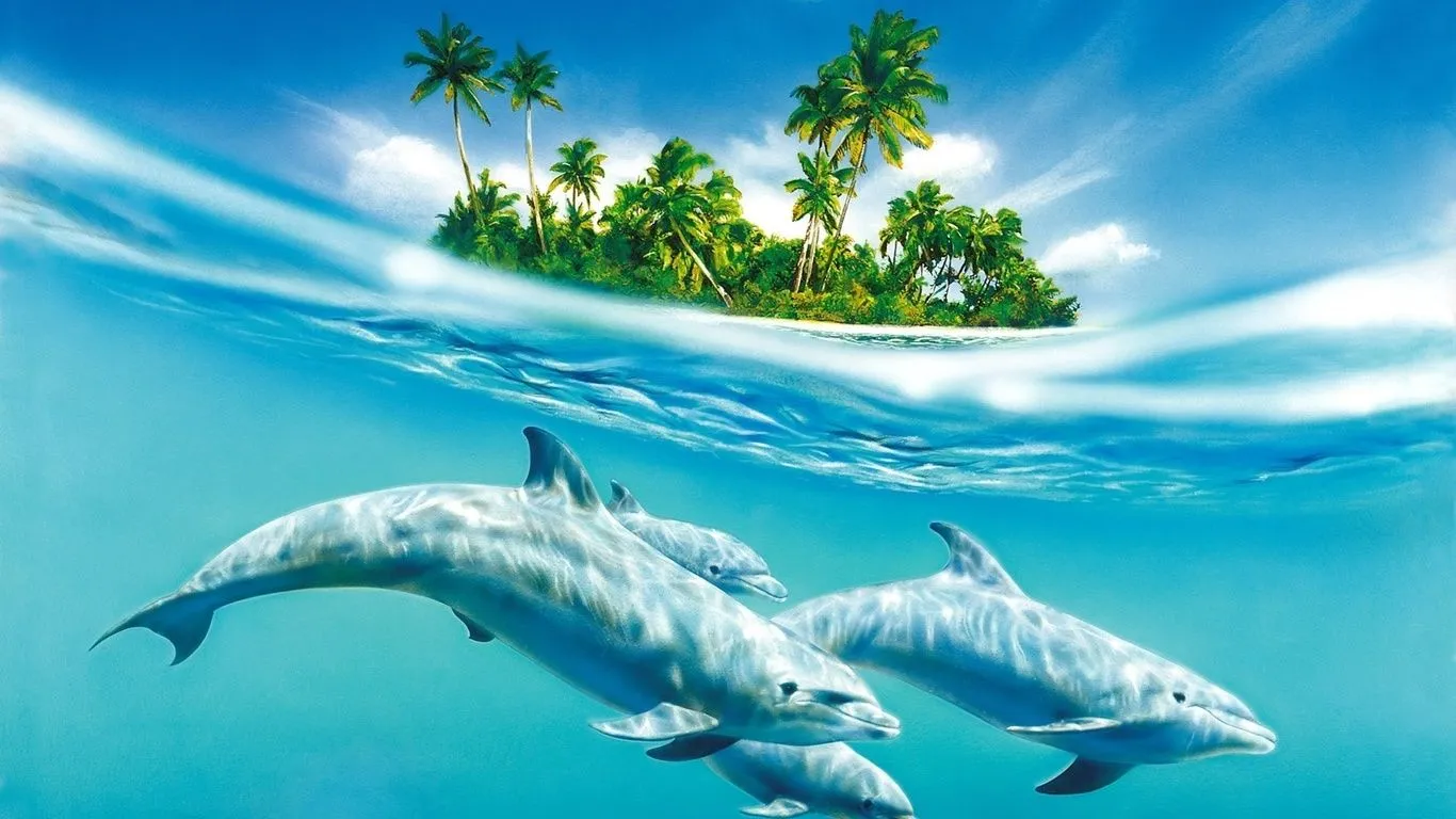 Fondos De Pantalla Isla El Mar Los Delfines 3d Pictures Fondos De Pantalla Isla El Mar Los Delfines 3d Pictures