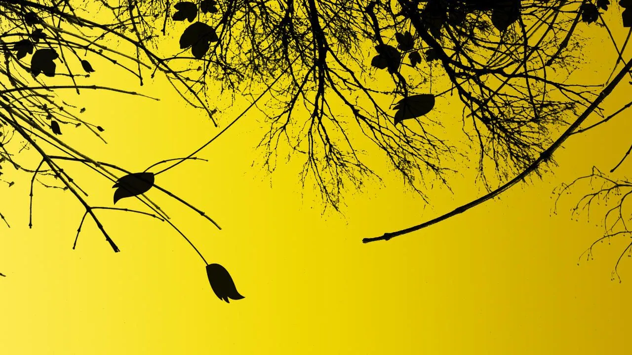 Fondos de Pantalla para Laptops (1366x768)HD Creados por mi - Taringa! Fondos de Pantalla para Laptops (1366x768)HD Creados por mi - Taringa!