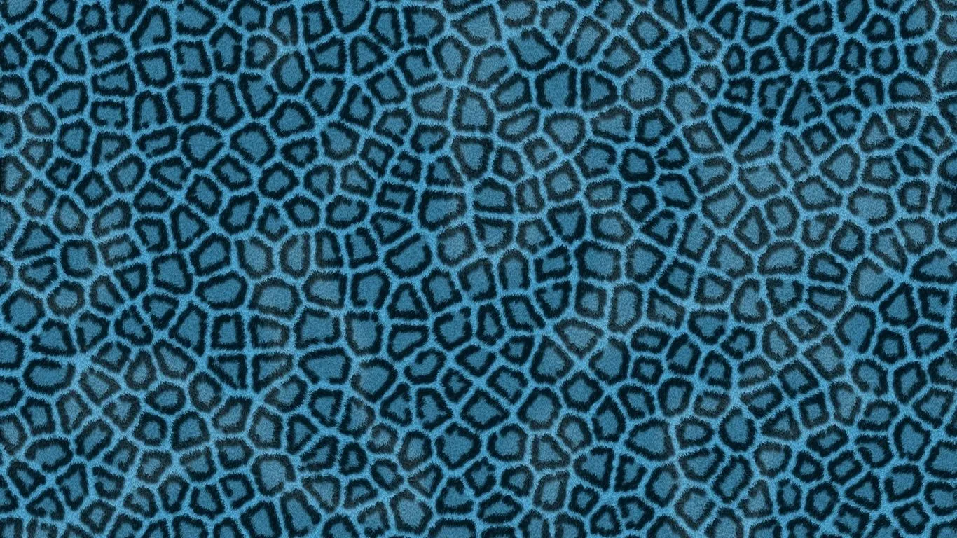Fondos de pantalla de leopardo, piel, azul, texturas, fotos Imágenes ... Fondos de pantalla de leopardo, piel, azul, texturas, fotos Imágenes ...