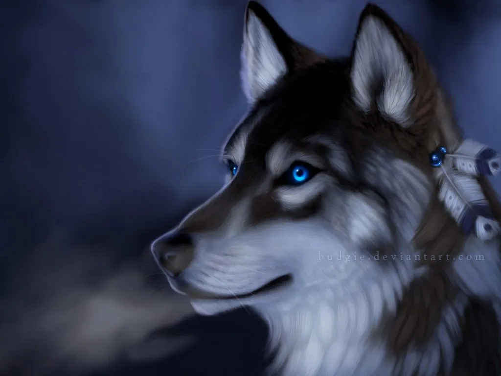 Wallpapers HD: Lobos hd - varias resoluciones ( Wallpapers HD: Lobos hd - varias resoluciones (