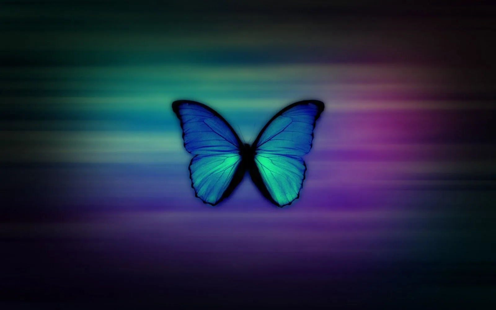 Fondos de pantalla mariposas - Imagui