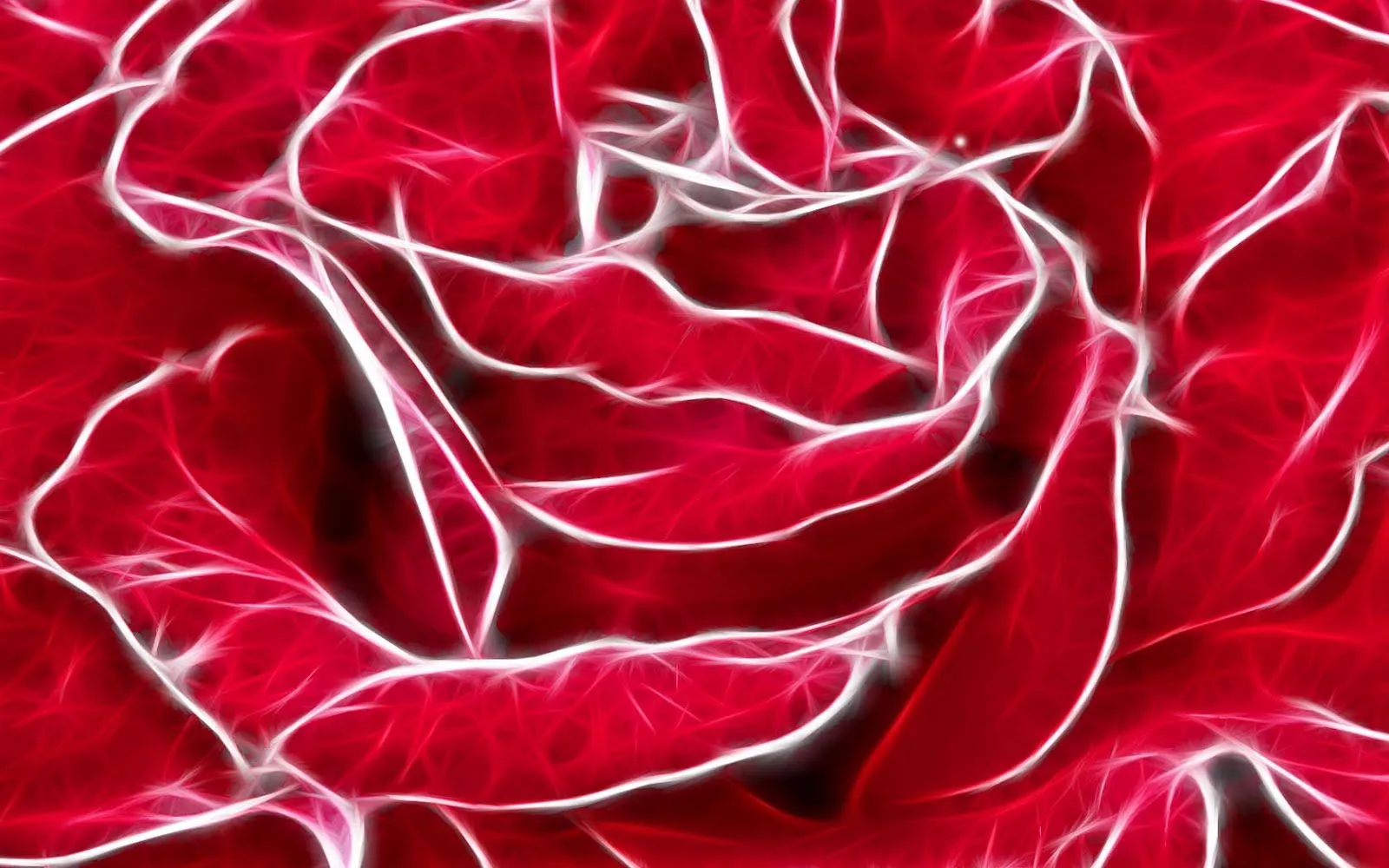 ღFondos De Pantalla y Mucho Másღ≈: Fondos de pantalla de flores HD ღFondos De Pantalla y Mucho Másღ≈: Fondos de pantalla de flores HD