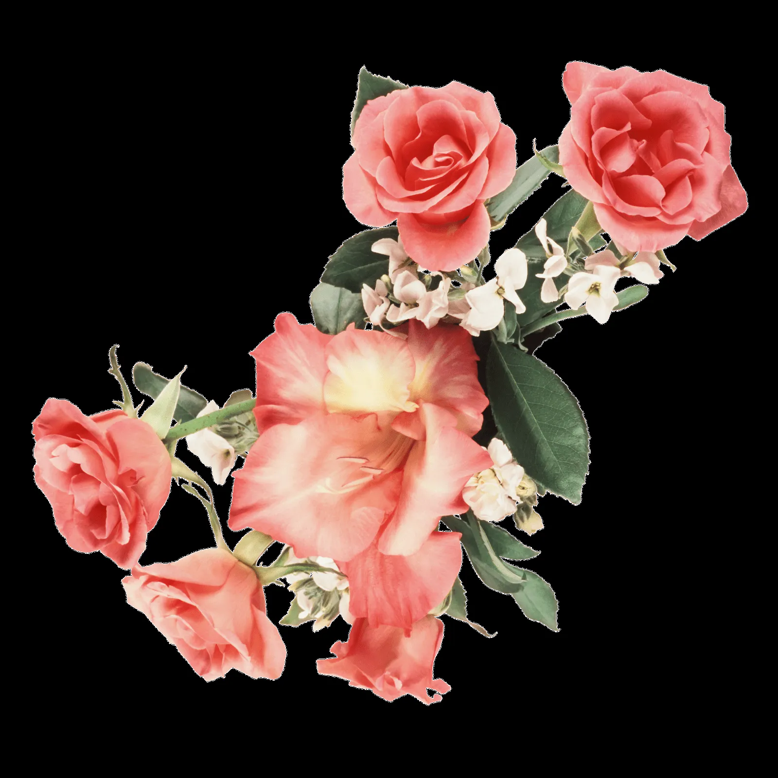 Fondos De Pantalla y Mucho Más: Gifs de flores Fondos De Pantalla y Mucho Más: Gifs de flores