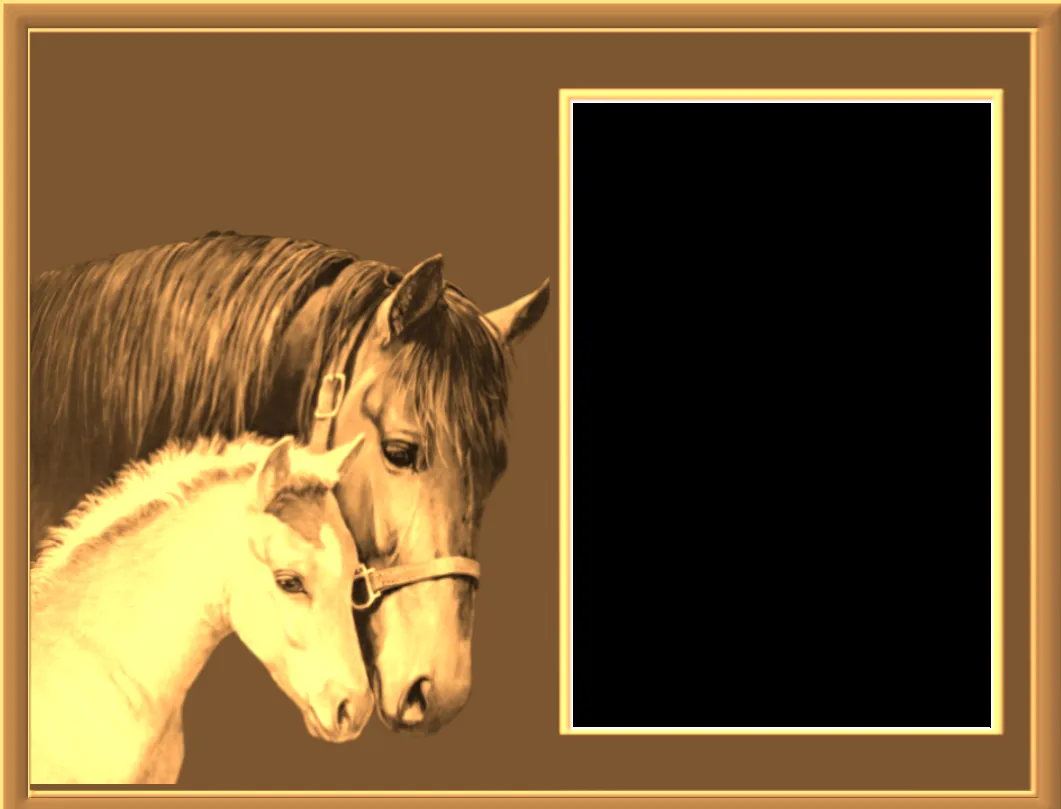 ღFondos De Pantalla y Mucho Másღ≈: Marcos para fotos con caballos ღFondos De Pantalla y Mucho Másღ≈: Marcos para fotos con caballos