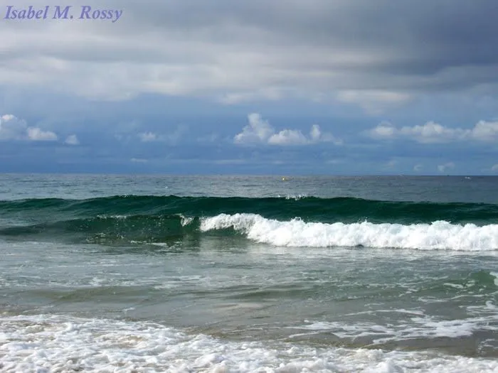 Fondos de pantalla movibles del mar - Imagui