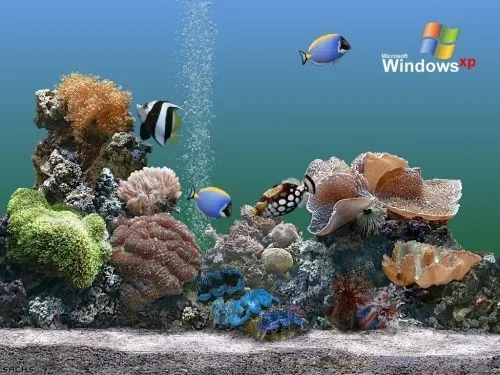 Fondo en movimiento para Pc - Imagui