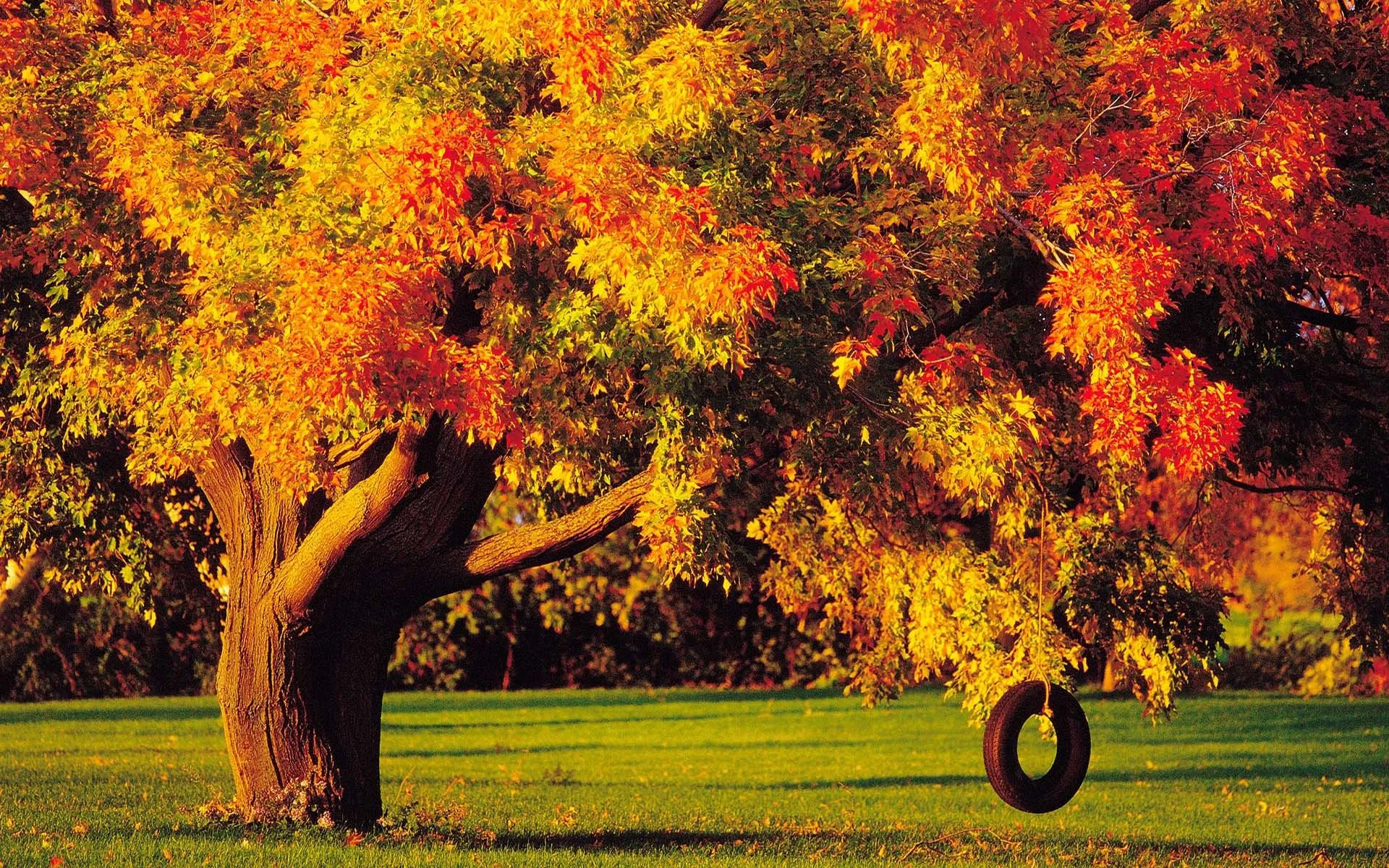 Fondos de Pantalla para Otoño - Wallpapers - Wallpapers Fondos de Pantalla para Otoño - Wallpapers - Wallpapers