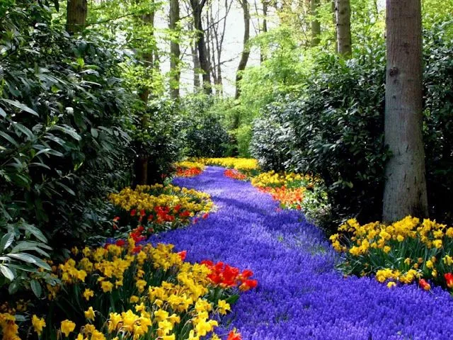 Imagenes de paisajes hermosos de primavera - Imagui