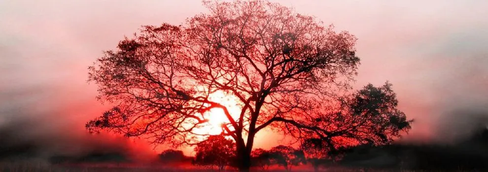 fondos-pantalla-paisajes-pc- ...