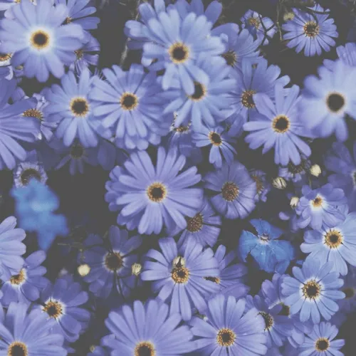 Fondo de pantalla tumblr hipster - Imagui