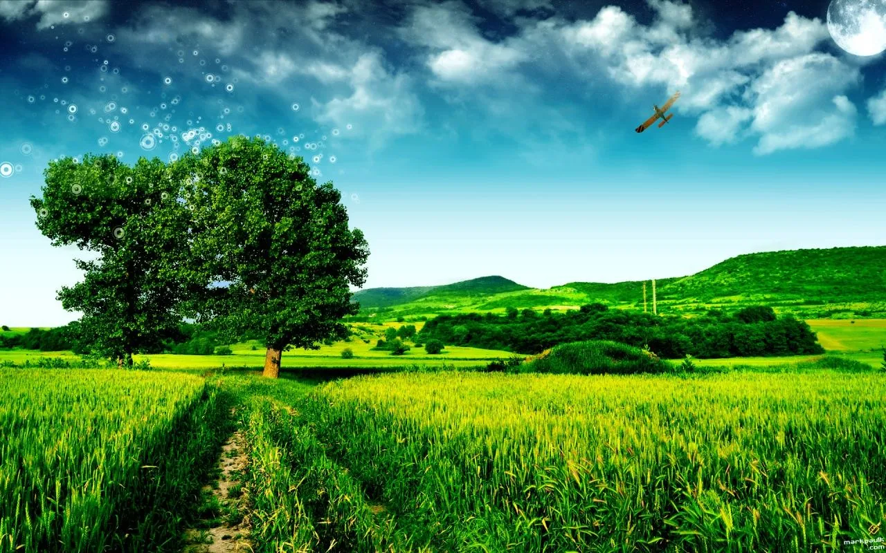 Fondos de Pantalla | Wallpapers: Fondo HD Campiña