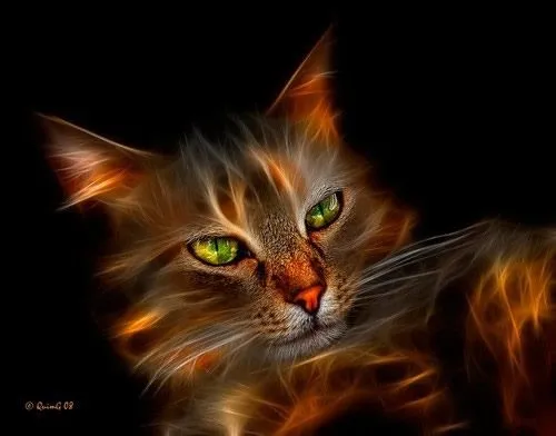 Wallpapers / Fondos de Pantalla con trabajos de luz - Woratek Wallpapers / Fondos de Pantalla con trabajos de luz - Woratek