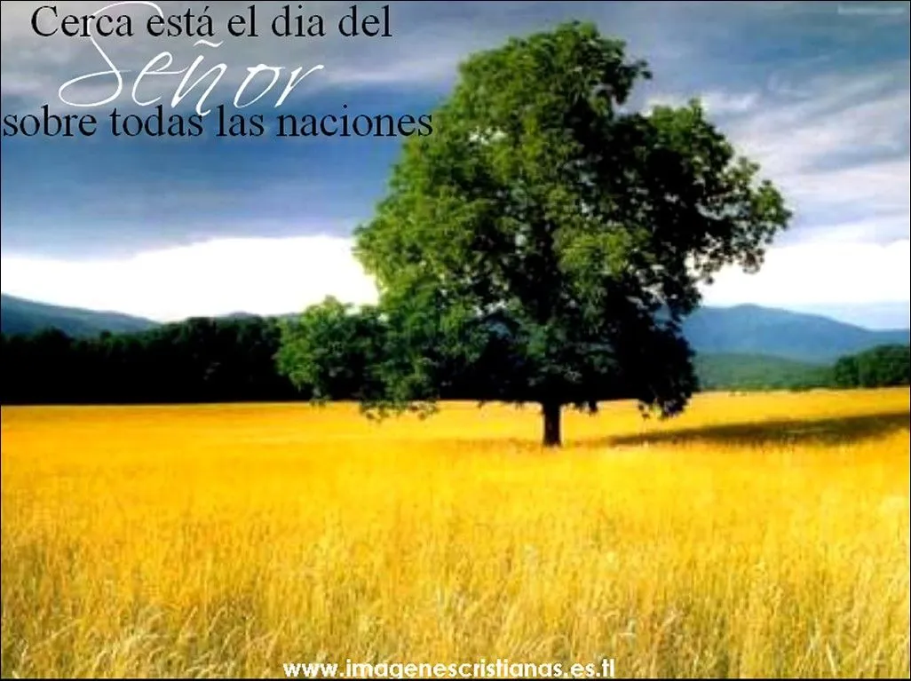 Fondos de pantallas Cristianos » 2406001039_dbe3f7583e_o