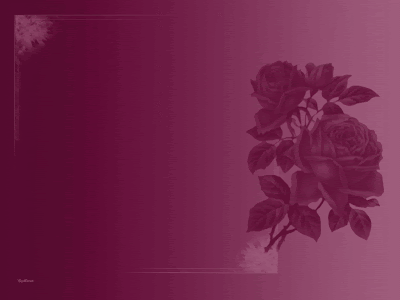 Fondos y Postales: Marco para fotos rosas