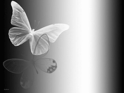 Fondos y Postales: Mariposas en blanco y negro Fondos y Postales: Mariposas en blanco y negro