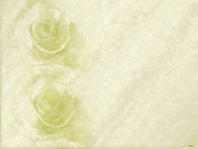 Rosas de papel