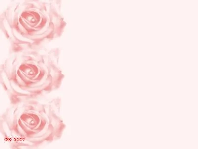 Fondos rosados para tarjetas - Imagui