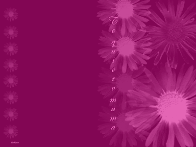 Fondos y Postales: tarjeta margaritas en rosa para el dia de la madre Fondos y Postales: tarjeta margaritas en rosa para el dia de la madre