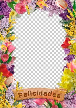 WWW.VIDEOIMAGEN.ES: PLANTILLAS DE FLORES ADOBE PHOTOSHOP WWW.VIDEOIMAGEN.ES: PLANTILLAS DE FLORES ADOBE PHOTOSHOP