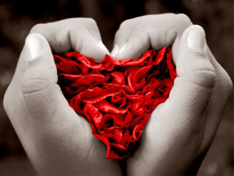 Fondos para presentaciones en Power Point amor - Imagui