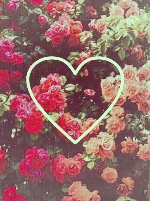 Cosas Para Tu Celular: Fondos De Flores Hipster Cosas Para Tu Celular: Fondos De Flores Hipster