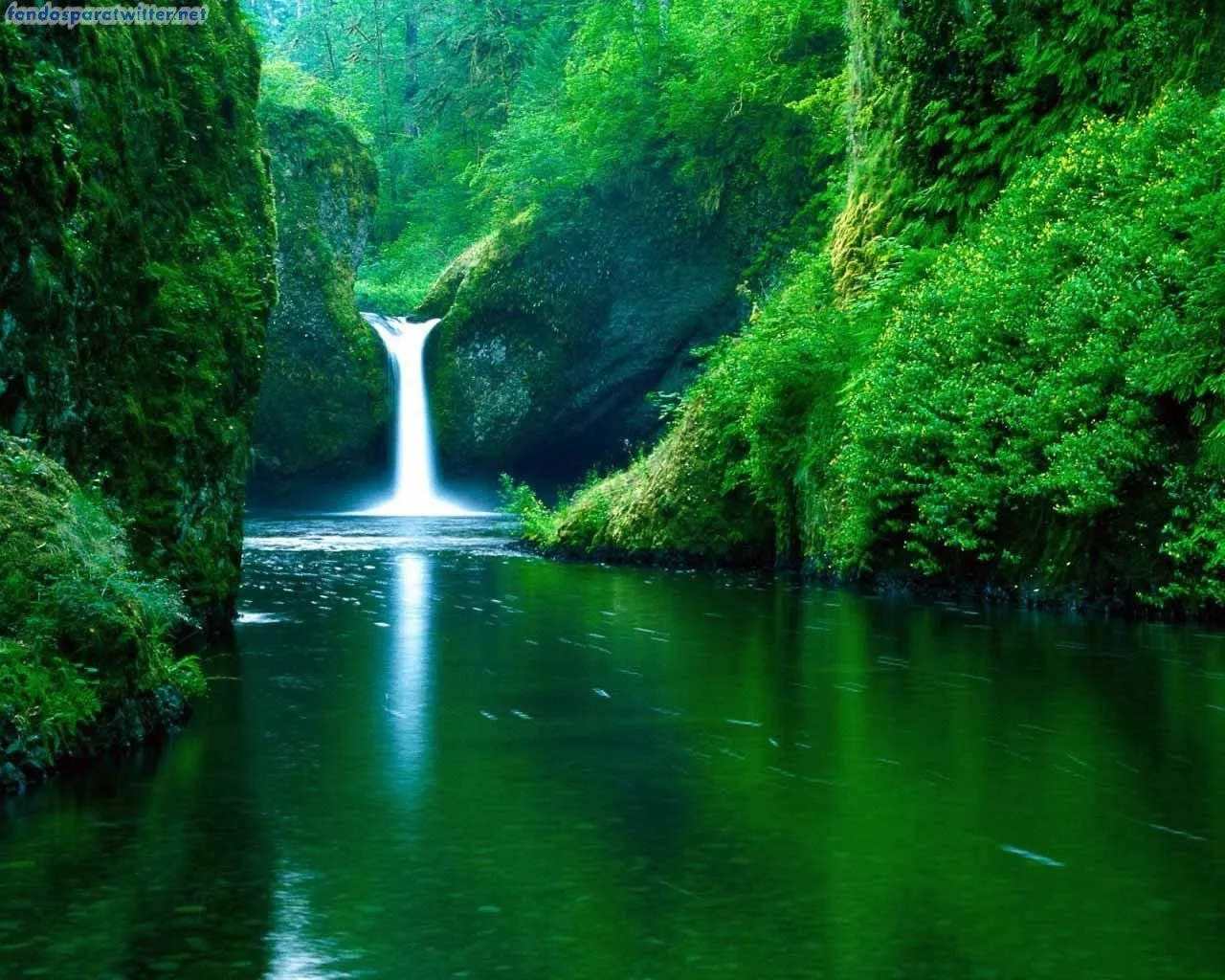 fondos para twitter: Paisaje