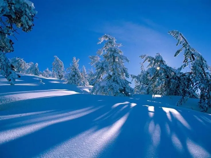 Fondos O Wallpapers En HD De Paisajes En Invierno. | árboles ... Fondos O Wallpapers En HD De Paisajes En Invierno. | árboles ...
