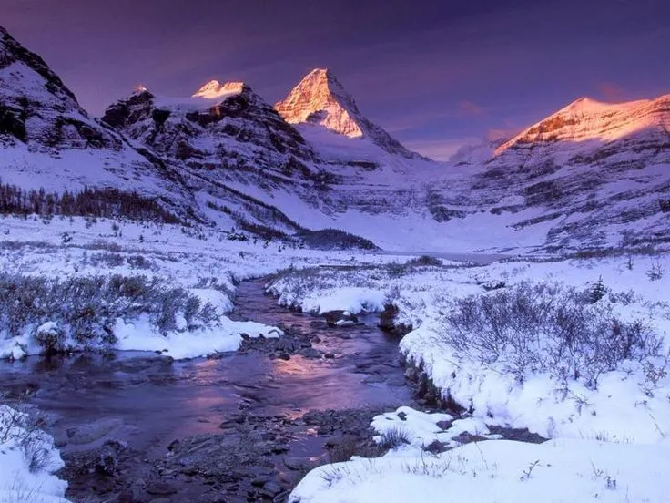 Fondos O Wallpapers En HD De Paisajes En Invierno. | árboles ...