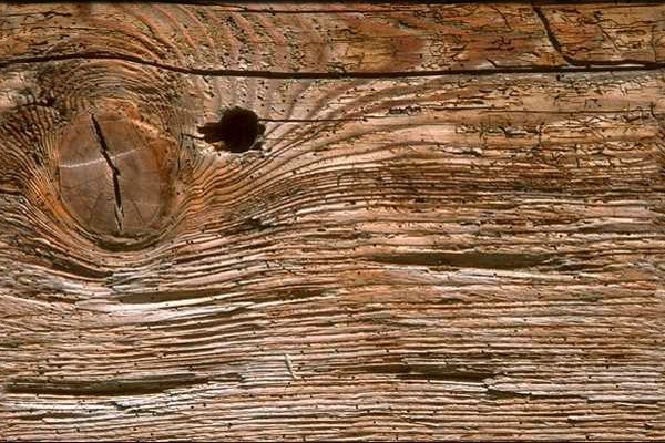 fondos web maderas, fondos gratis de color madera