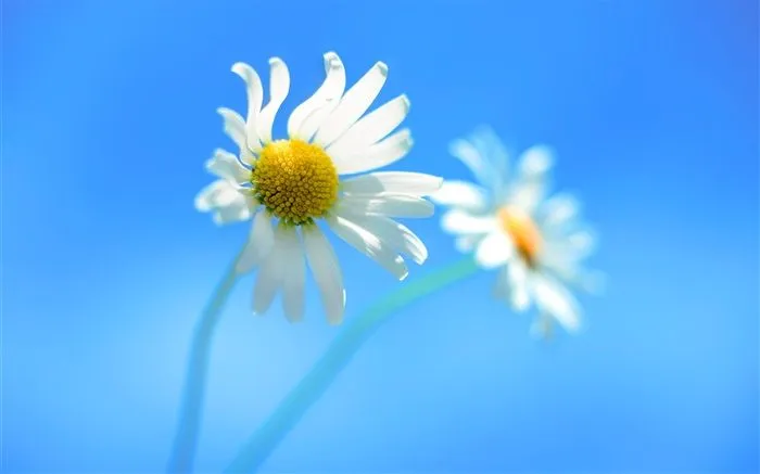 Fondos windows 8 HD - Imagui