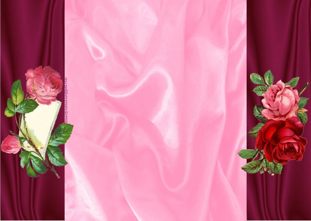 Fondos Yolanda Castro.: ROSAS ROSAS.