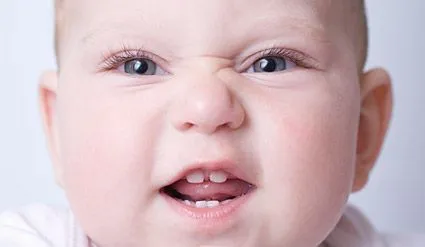 Formacion-de-los-dientes-del- ...