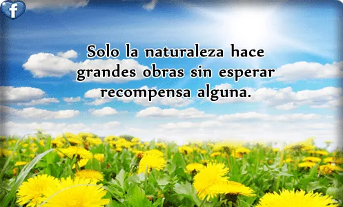 Formas para cuidar El Medio Ambiente : Frases sobre La Naturaleza Formas para cuidar El Medio Ambiente : Frases sobre La Naturaleza