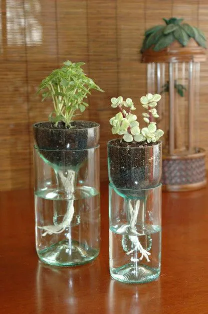 Formas de reciclaje de botellas de vino y de vidrio